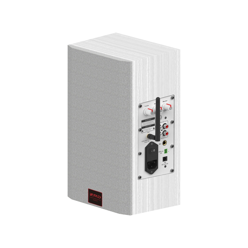 网络壁挂音箱 ZR-5220A