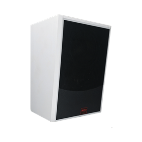 IP网络音箱 JC-IP2315T（带2.4G话筒与定压备份可选）